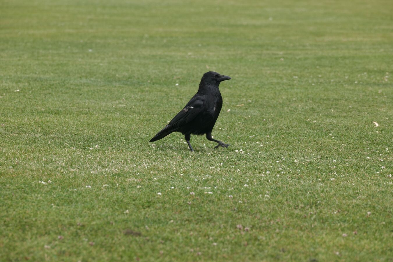 A quick trip to Wish Park and Hove Lagoon