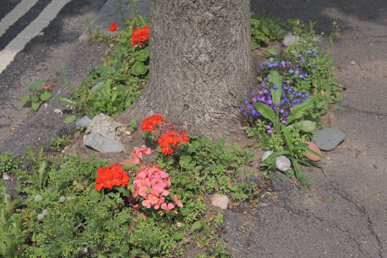 A street in Hove