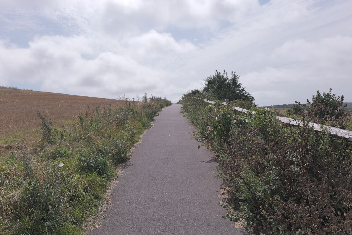 Falmer to the coast