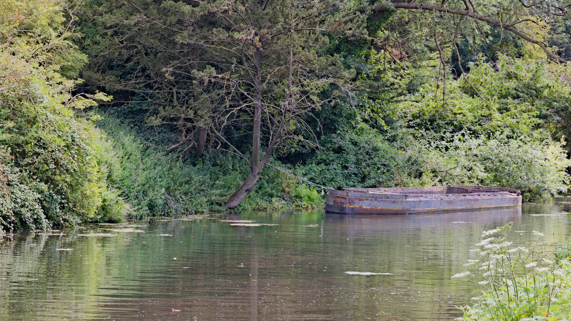 Chichester Canal